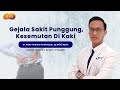 Beberapa Gejala Ringan Hingga Berat Penderita Sakit Punggung | Talkshow With Mayapada Hospital