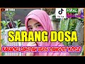 Viral Tiktok - SARANG DOSA-KARAOKE QASIDAH VERSI DANGDUT KOPLO ! MENGGUNJING ORANG ITU SARANG DOSA