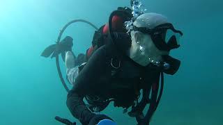 Blue Heron Bridge Dive