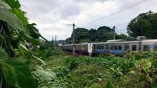 811系PM1511編成とPM5編成快速大牟田行