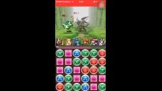 【パズドラ】木の歴龍 地獄級Sランク   光アヌビス闇ヨミ