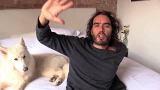 Left-Wing Commie Scum? Russell Brand The Trews (E133)