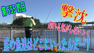 釣り動画ロマンを求めて555釣目