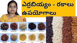 Best Red Rice - Varieties- Uses- ఎర్రబియ్యం-ఉపయోగాలు