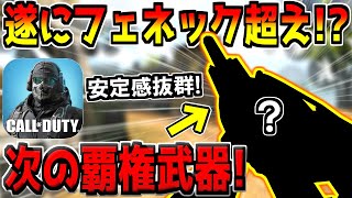 遂にフェネックを超えた！？次の環境はこの武器の時代が来るぞ！何故か弱体化をすり抜けた\