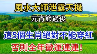 風水大師泄露天機：元宵節過後，這5個生肖絕對不能穿紅，否則全年黴運連連！【梵音禪語】#生肖 #運勢 #風水 #財運#命理