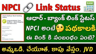 NPCI అంటే ఏమిటి? | How to Check AADHAR NPCI Link Status / NPCI Link to Bank Account #NPCIBankStatus