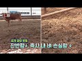 극찬기업 소들이 건강하게 농기계에 스마트한 바람이 불다