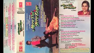 Ishq Leta Hai Aashiqo ke Imtehaan  - Mera Dil Tere Liye 1991(By Chayon Shaah Audio Series)