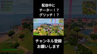 配信中にチーター！？ #fortnite  #shorts  #gaming  #shortvideo  #short  #fortnitememes  #fortniteclips  #フォトナ