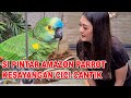 BURUNG PINTAR KESAYANGAN CICI CANTIK - AMAZON PARROT