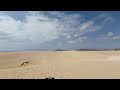 dune fuerteventura corralejo august summer dune corralejo estate fuerteventura