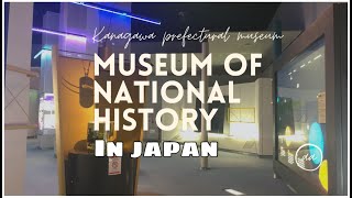 KANAGAWA PREFECTURAL MUSEUM OF NATIONAL HISTORY IN JAPAN | MAR MASA #kanagawamuseum #japanmuseum