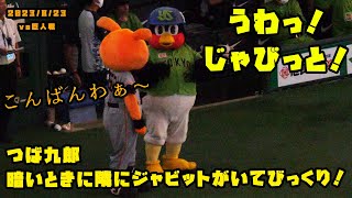 つば九郎　暗いときに隣にジャビットがいてびっくり！？　2023/8/23 vs巨人