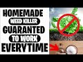 DIY Weed Killer Hack 🌿 | Natural Homemade Weed Killer Recipe