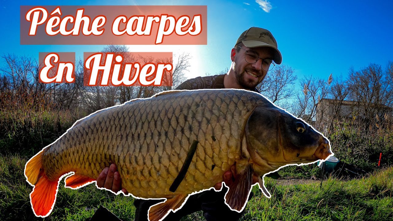 Peche De La Carpe En Hiver ! ( Team Jupike Fishing ) - YouTube