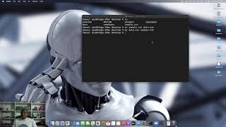 Python Programming 17 : Renaming Files Directories (Basic Mac Commandline Skills)
