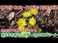 安曇野瓜太郎 信州の四季・音楽紀行 vol.96「ここに幸あり（カヴァー）」