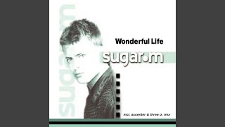 Wonderful Life (Radio)