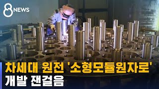 차세대 원전 '소형모듈원자로'…개발 잰걸음 / SBS