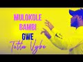 Totta Vybe - Geno Haza (official Lyric Video)