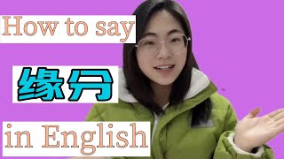 【中文学习】”缘分“用英语怎么说  how to say ”缘分“ in English