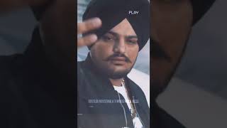 New Punjabi Status Video // Status Video // Sidhu Moose Wala Status || MAFIA 5911.
