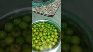 বড়ই খেতে কার কার ভালো লাগে কমেন্ট করে জানাও।।🍏🍏#বড়ই#শট্#ভিডিও#