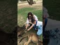 Syahmi xavier - melbourne - feeding kanguru