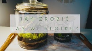 LAS W SŁOIKU DIY  🌿 TUTORIAL KROK PO KROKU | Pleciuga #2