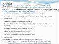 altogen biosystems j774a transfection reagent