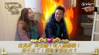 《婚前試行為》相見好 同住難！有人嬲嬲豬！ 回不去了！揀物資都扯火？