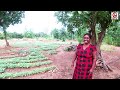 කිකිළියෝ 55යි මාසෙට බිත්තර 1500ට වැඩි how to start a poultry farm rir chicken farm village poultry