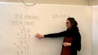 MS 271 Standard and alternative multiplication algorithms