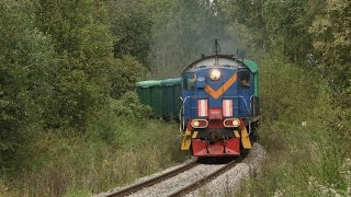 ТЭМ2 7034 с грузовым поездом на перегоне Торжок-Южный - Кувшиново.