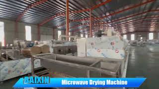 Continuous microwave drying machine 50Kw microwave dryer