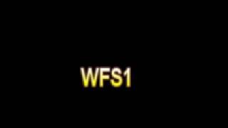 What Is The Definition Of WFS1