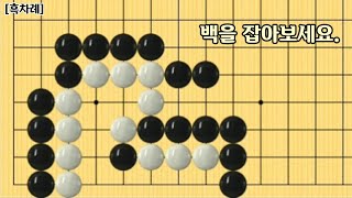 [오늘의 문제]2022-5-14 / 백을 잡아보세요.