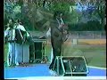 Halid Muslimovic ft. Slatki grijeh - Samo ti mozes slomiti mi srce - LIVE - ( Video 1987 )