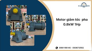 Giá Motor Giảm Tốc 3 Pha 0.8kW 1Hp 1/30 - Hà Thanh Motor