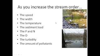 Stream Order Characteristics