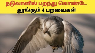 ஏன் பறவைகள் இப்படி தூங்குகிறது | Interesting Facts | Tamil | Parallel Info