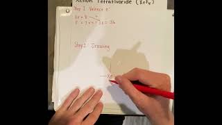 Xenon Tetrafluoride Lewis Stucture
