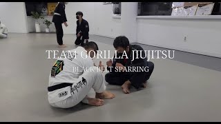 20220601 ShinChonGorilla Sparring : Black Belt (Houston - #GRACIEBARRA)미국에서 찾아온 국순혁 블랙벨트 #Sparring