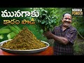 Munagaku Karam Podi || ఆరోగ్యకరమైన మునగాకు కారప్పొడి || Drumstick Leaves Powder Recipe ||