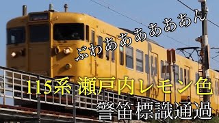 【音量注意】 115系 長めの警笛鳴らし警笛標識通過！