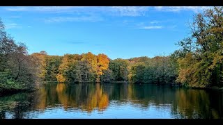 Explore Arnhem’s Gem: A 10-Minutes walk in Sonsbeek Park 🌳