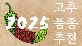 2025년 🌶️고추 품종 추천