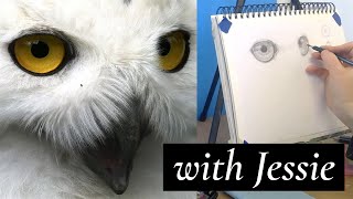 LIVE - realistic drawing of owl eyes. How to draw.
