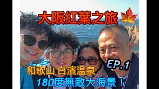 😝【 👨‍👩‍👧‍👦俊俊家庭遊👨‍👩‍👦‍👦】😝京阪神七天之旅のDAY1｜和歌山｜白濱奇特萊斯希莫爾酒店｜三段壁洞窟｜南紀ToreTore ichiba